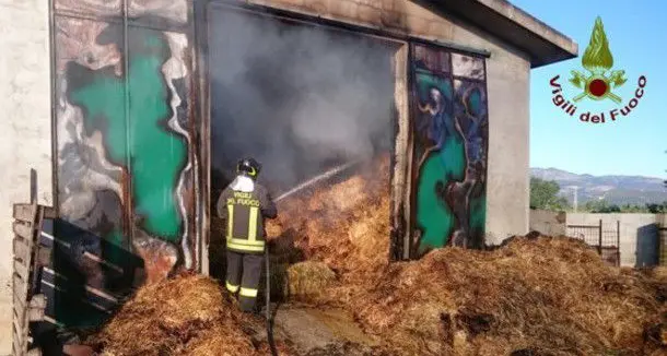 Incendio devasta un fienile e uccide otto pecore