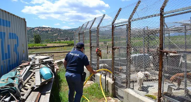 Canile lager a Siniscola: interviene la Polizia, davanti a loro uno scenario agghiacciante