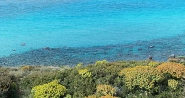 La Bandiera Blu 2016 sventola sulle spiagge quartesi