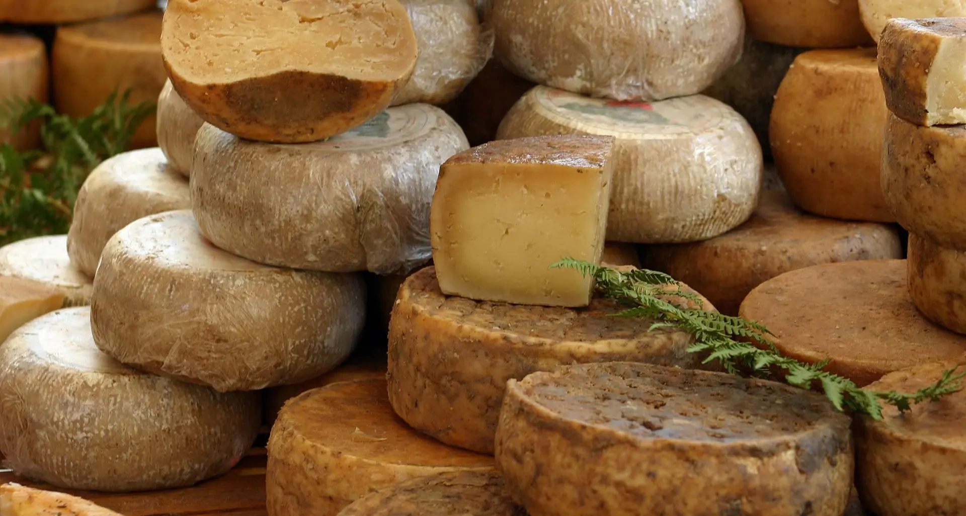 Lo scandalo del pecorino rumeno destinato alla Sardegna