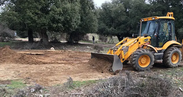 Fuoriescono liquami dalla fossa aperta per interrare i maiali abbattuti: scatta la bonifica