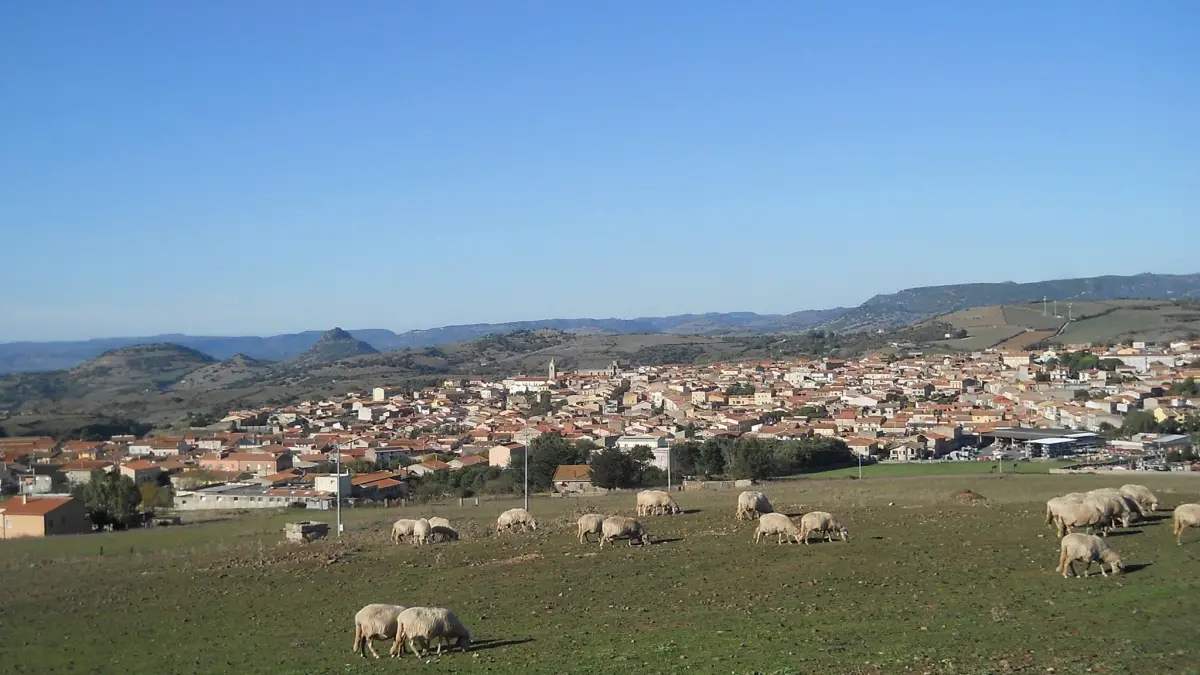 Tentato omicidio a Pozzomaggiore: allevatore aggredisce il vicino con una roncola