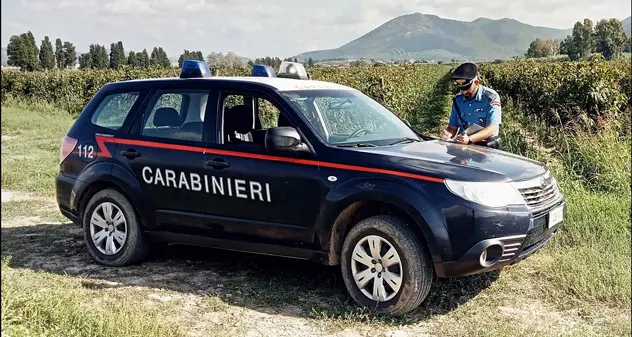 Blitz in un’azienda agricola: i Carabinieri scoprono due braccianti in nero