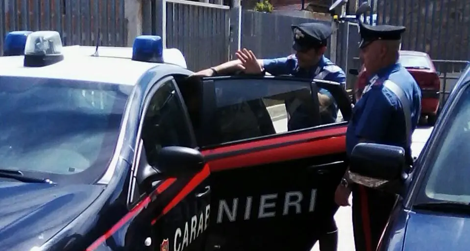 Uccide 24 pecore e 69 agnelli: arrestato