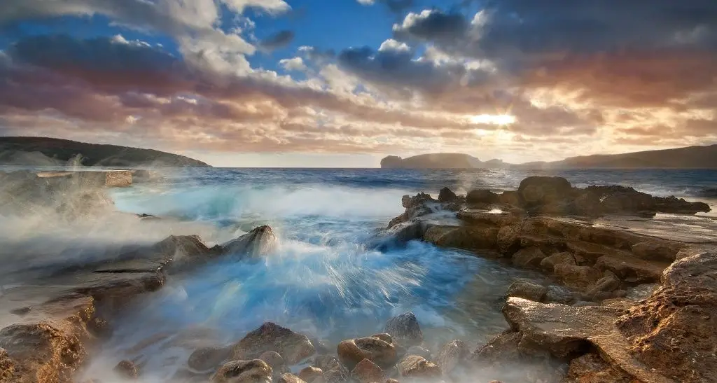 Nel regno della posidonia. Alla scoperta delle mitiche profondità del mare di Sardegna