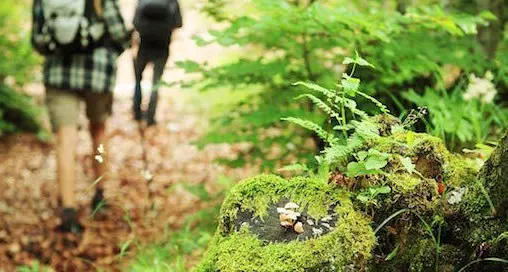 Al via la 6° camminata ecologica: 11 km da percorrere immersi nella natura