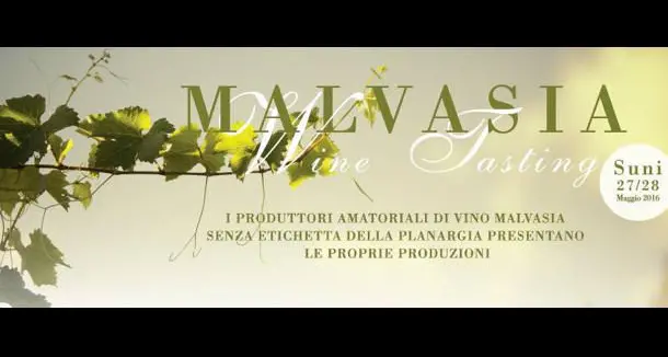 \"Malvasia Wine Tasting\", degustazioni e dibattiti con esperti