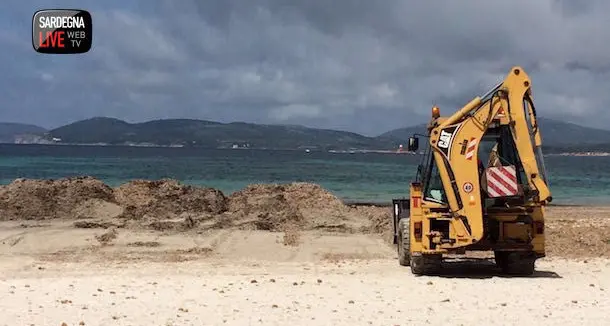 Iniziate le opere di pulizia delle spiagge algheresi