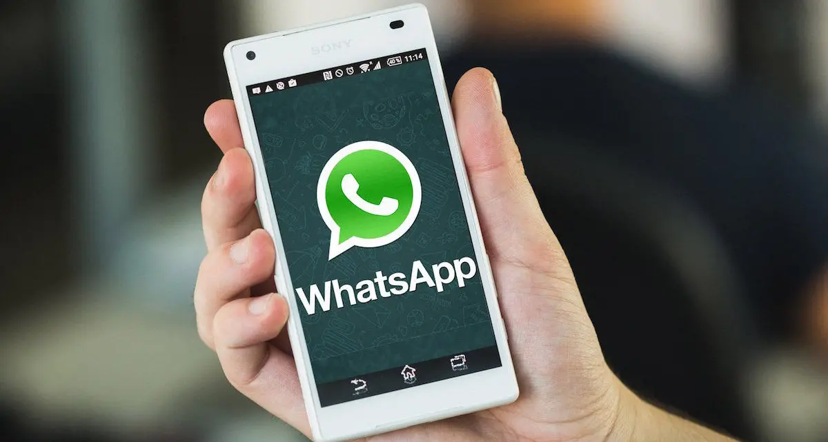 WhatsApp sbarca sui pc. Ecco la app per Mac e Windows