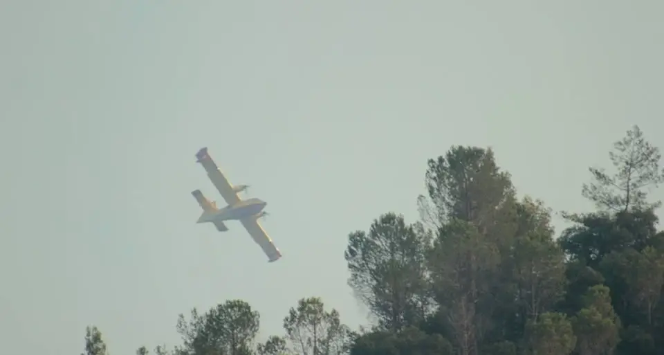 Aggius: incendio devasta 60 ettari di bosco