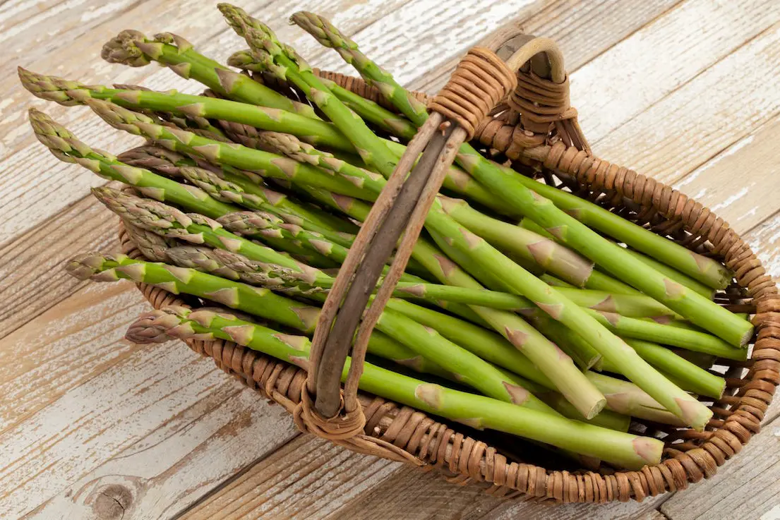 green asparagus in wicker basket