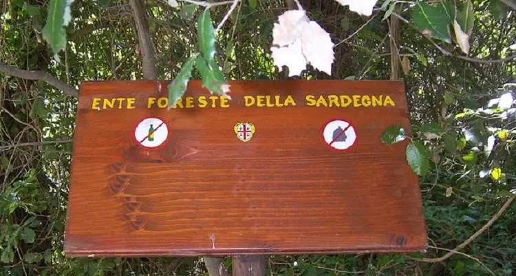 Nasce l'Agenzia Forestas, sarà guidata da un amministratore unico