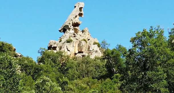 Camminata all'interno dell'Oasi floro-faunistica di Assai