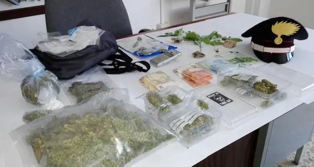 Trovato in casa con mezzo chilo di marijuana e 1500euro: arrestato spacciatore 23enne