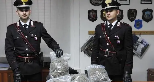 Non si ferma all'alt, scappa e abbandona l'auto in campagna con dentro 5 kg di marijuana: è caccia al conducente