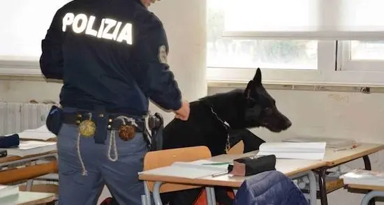 Controlli antidroga nelle scuole di Bosa: trovata marijuana