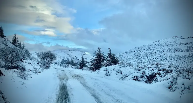 S’iberru est arrìbau