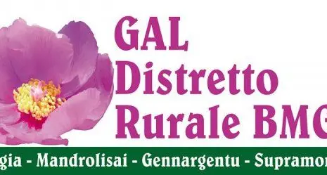 Il territorio protagonista dello sviluppo.