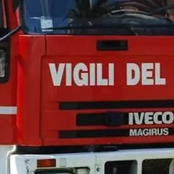 Cade un albero in viale Cimitero: spavento a Cagliari