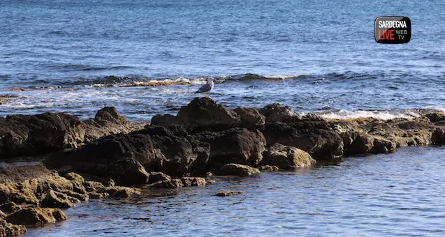 Le previsioni per domani: Pasquetta in compagnia del sole e qualche nube