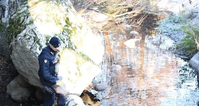 I carabinieri salvano la vita a una donna di 62 anni che stava per annegare