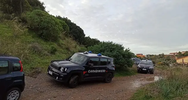 Dolianova. Ispezione sanitaria, all’appello mancano 43 scrofe: allevatore simula furto