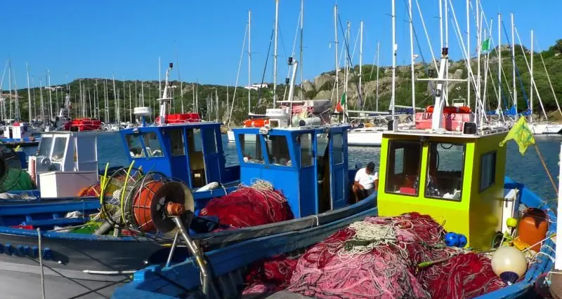 Mare svenduto alla Francia, il deputato Pili: \"Ceduta la Sardegna e la Liguria per la Toscana\"