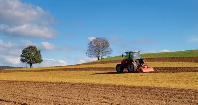 I giovani sardi che si vogliono dedicare all'agricoltura potranno ottenere in concessione i terreni di proprietà della Regione