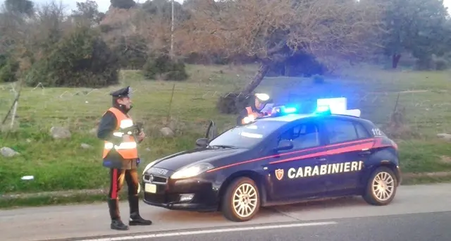 Furto di canapa indiana ad uso terapeutico, i Carabinieri sulle tracce dei ladri