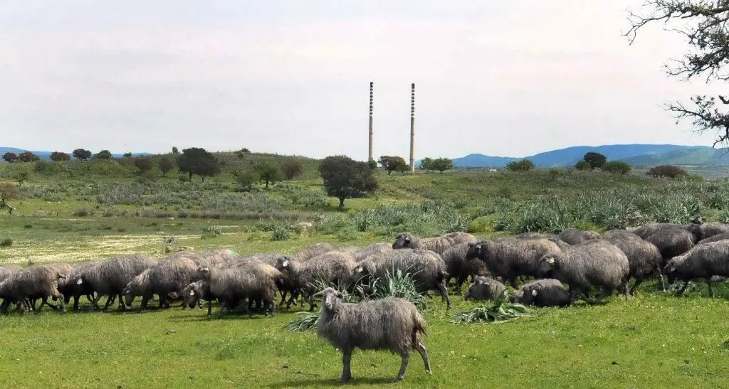 Presunto inquinamento nella zona industriale di Ottana: Clivati risarcisce i pastori