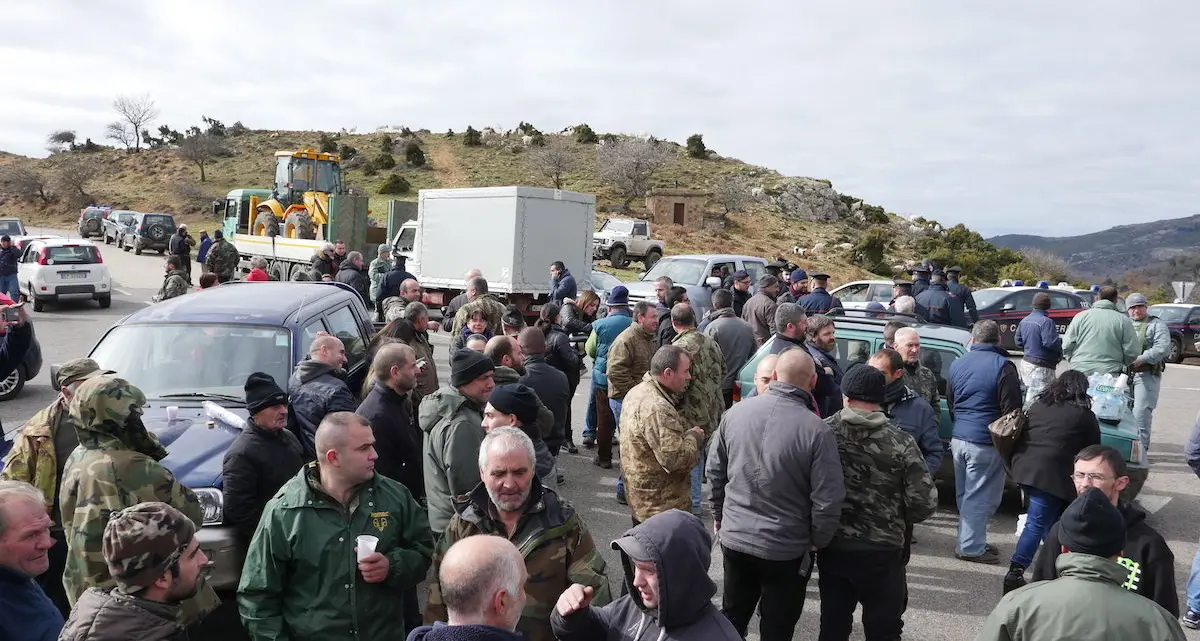 Peste suina, barricate a Desulo. I pastori bloccano la task force che doveva abbattere i maiali