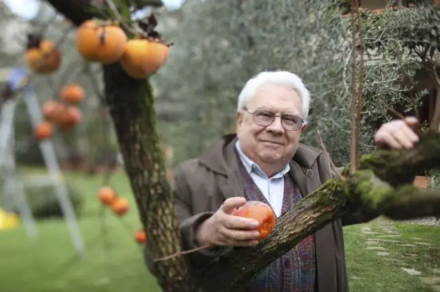 Giacomo Tachis, italian winemaker icon, seen at his home in San Casciano in Val d\\'Elsa, Tuscany, Italy.  Mr. Tachis created the Super Tuscan identity with Sassicaia and Solaia and Tignanello.