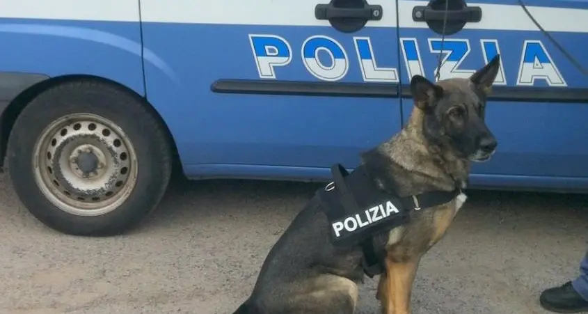 Maxi sequestro di droga. La Polizia blocca un carico di hashish partito dalla Campania e diretto in Sardegna