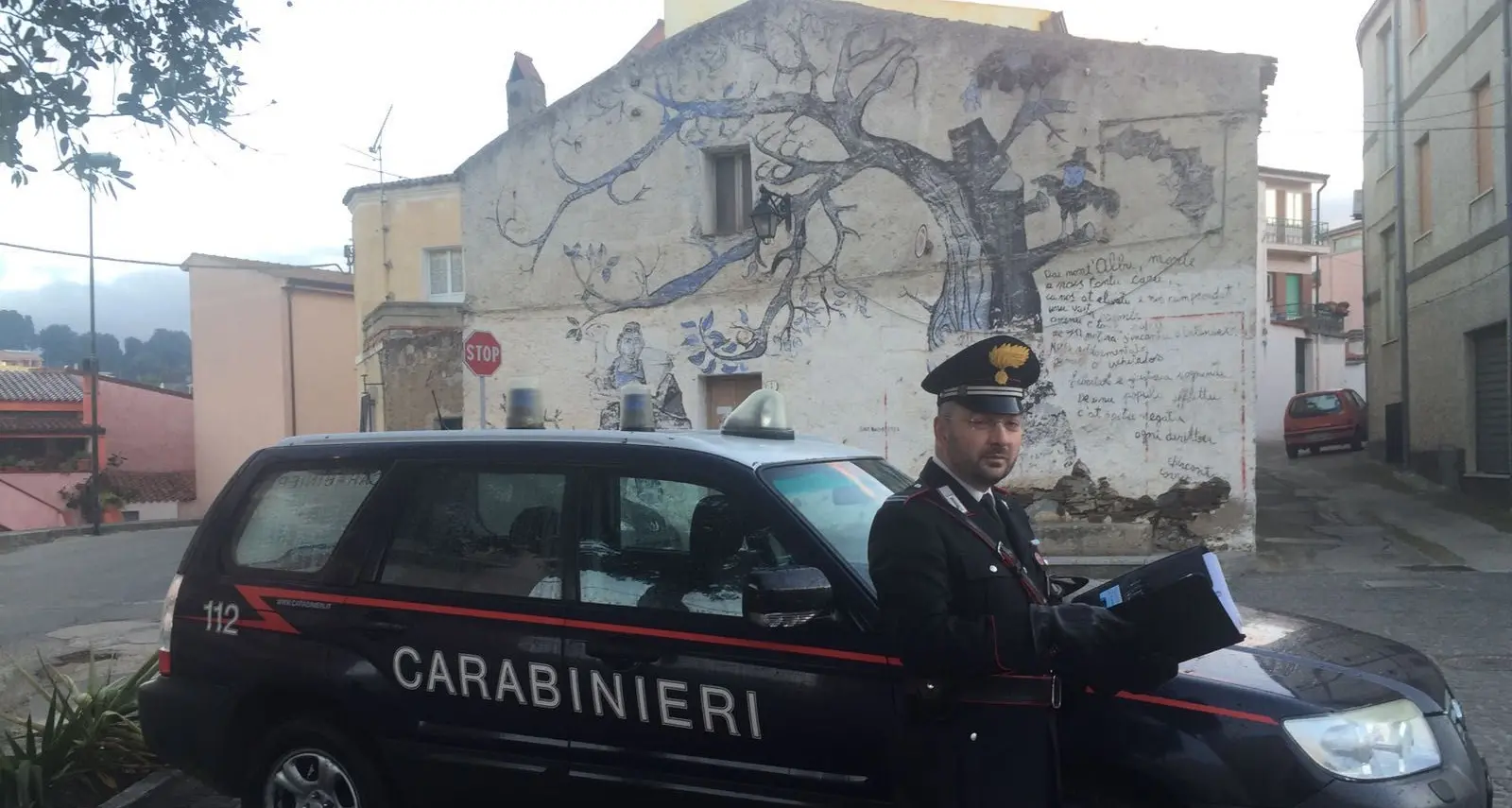 Denunciati due giovani del paese per aver tagliato l'albero di Natale la notte di Capodanno