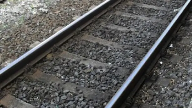 India, treno travolge una mandria di elefanti uccidendone otto nello stato di Assam