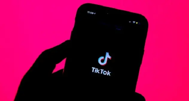 Adescava bimbe e ragazzine su TikTok: il lato oscuro dei social