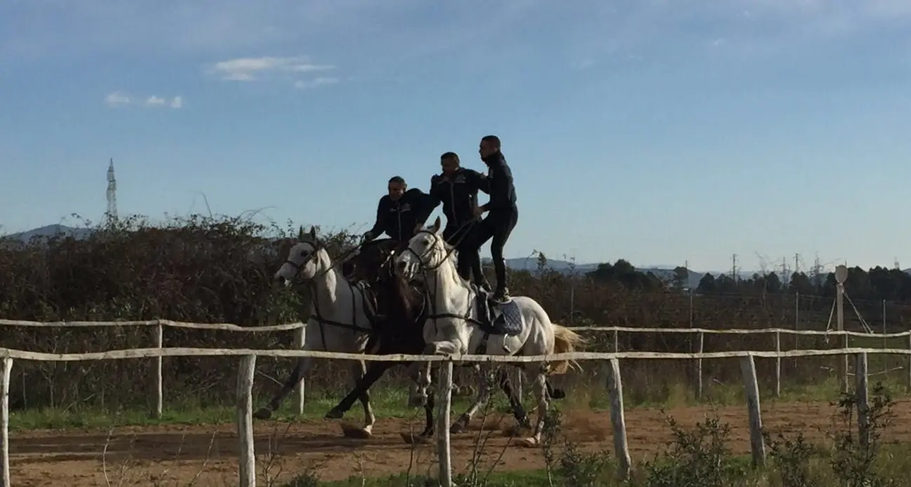 Sartiglia, cavallo si imbizzarrisce: cade amazzone