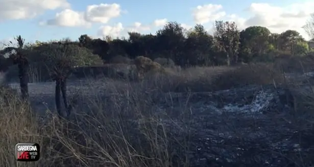 Incendio pineta Mugoni: al via il bando per la messa in sicurezza