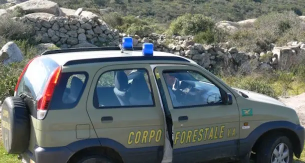 Bracconaggio nel parco di Gutturu Mannu, la Forestale denuncia tre persone e sequestra armi, munizioni e trappole