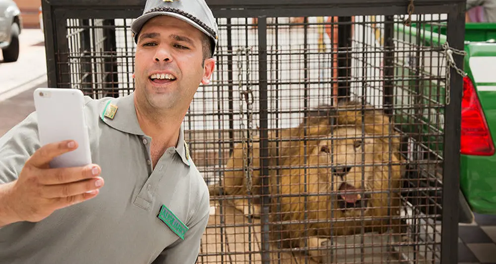 Un pezzo di Sardegna nel film di Checco Zalone. Scoprite di quale paese si tratta