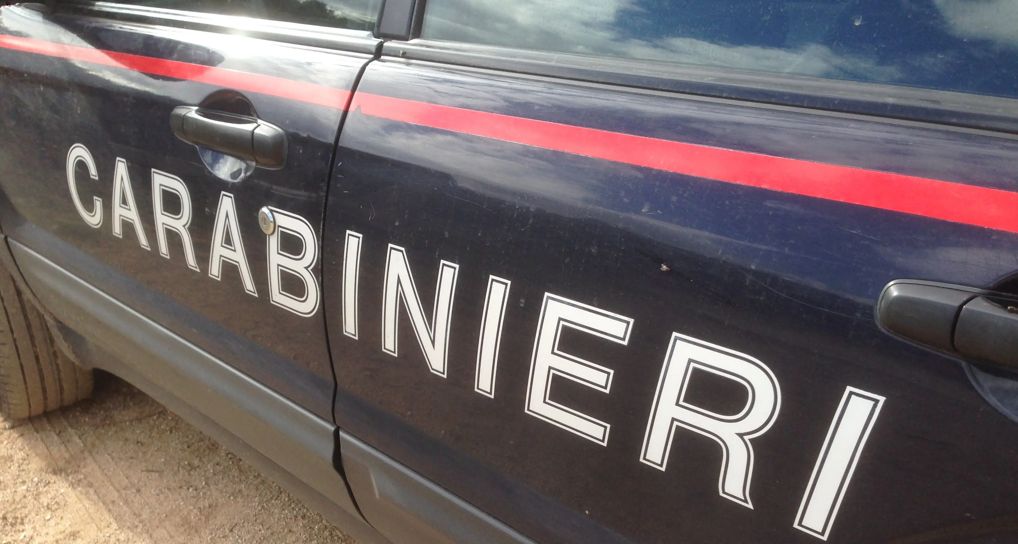 Indagini a tutto campo dei Carabinieri per risalire a chi ha abbattuto l'albero di Natale nella notte di Capodanno