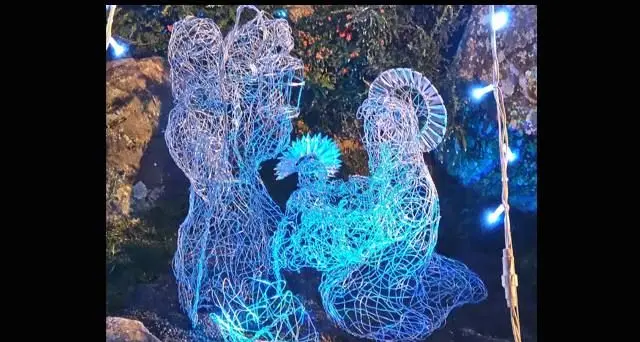 L'Associazione Florovivaistica \"Corallo Verde\" illumina le festività cittadine