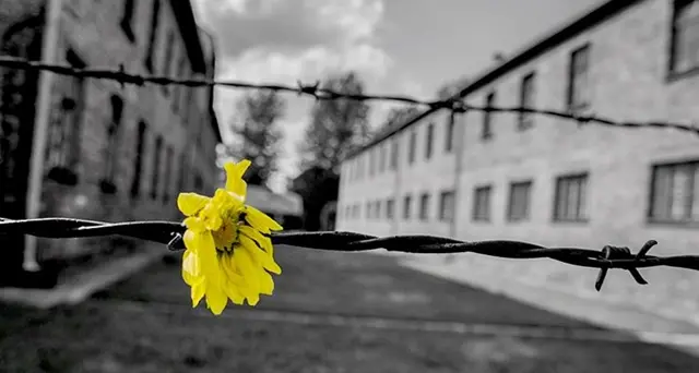 Giorno della memoria, le parole del Presidente Solinas: “Mai dimenticare le sofferenze della Shoah”