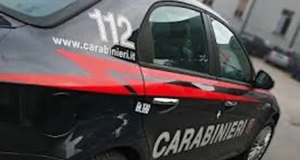 Legano la cassa automatica del distributore a un furgoncino e la sradicano: l'allarme però mette in fuga i ladri