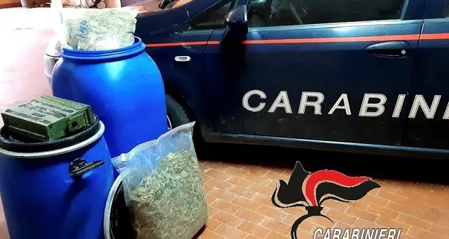 Nascondeva 12,5 kg di marijuana, 45enne fermato dai carabinieri