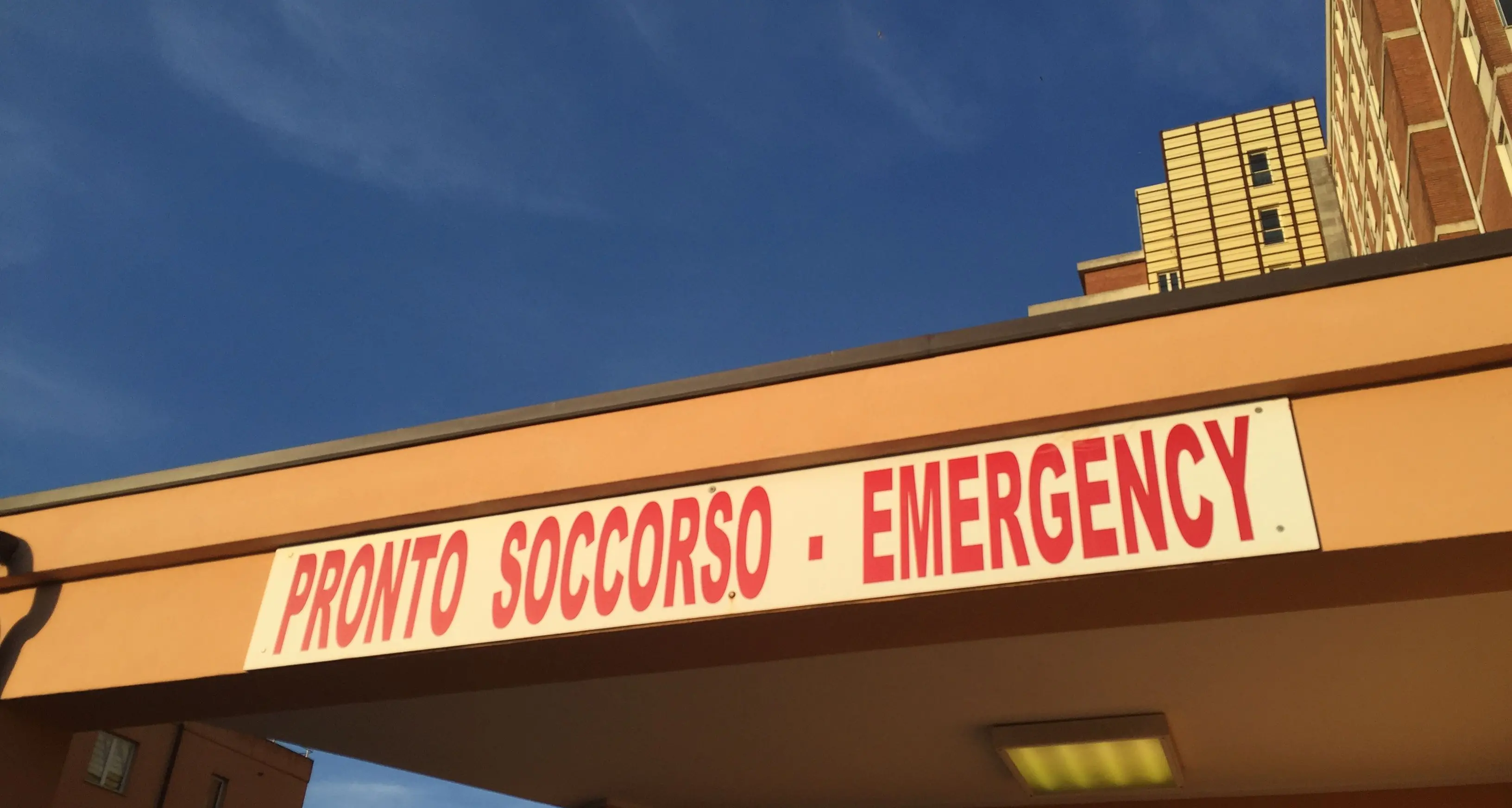 Intossicazione da funghi: otto persone finiscono in ospedale in Gallura