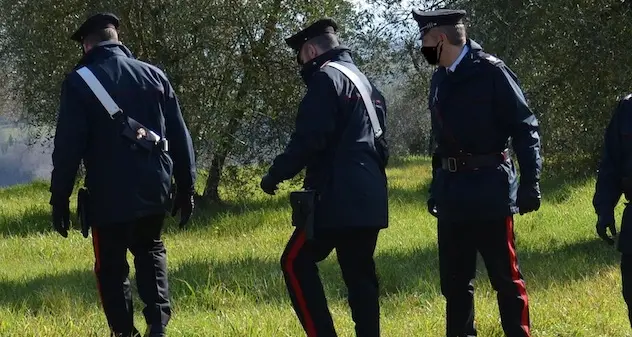 Guspini. Uccide “per dispetto” un cane con una fucilata: denunciato 80enne