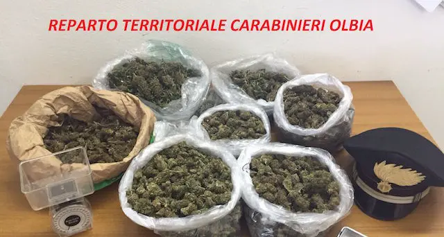 Carabinieri sequestrano 7 kg di marijuana: arrestata coppia di fidanzati