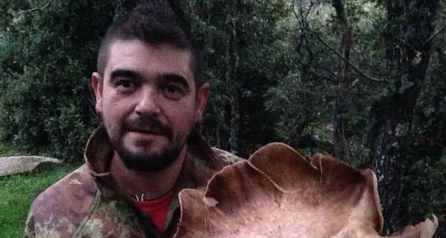 A Lodine trovato un Pleurotus Ferulae da 2kg