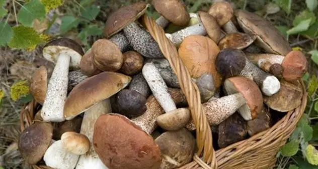 Ritrovati i cinque cercatori di funghi dispersi tra Solanas e Castiadas